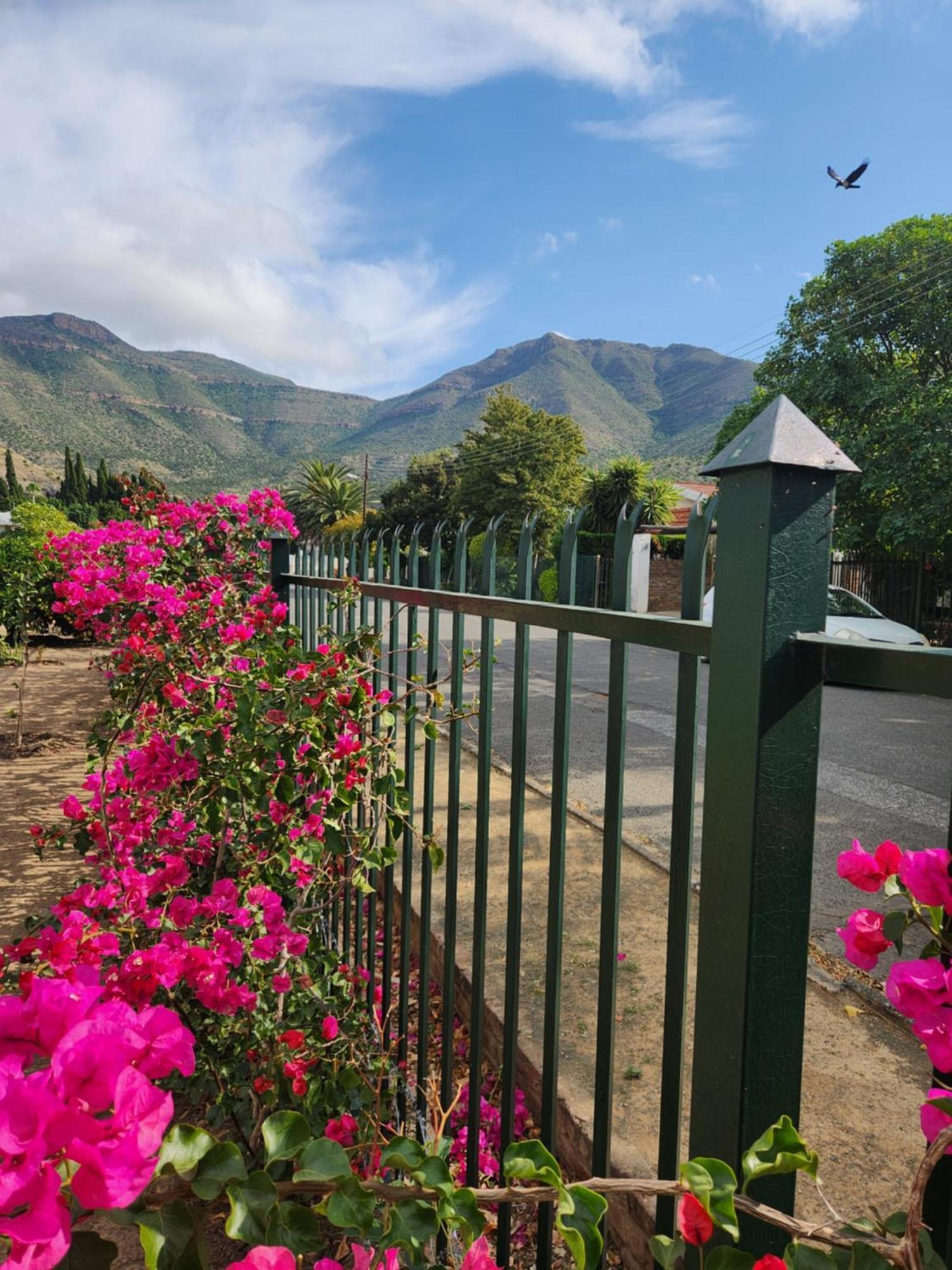 Die Dorpshuis กราฟฟ์-เรเน็ต ภายนอก รูปภาพ
