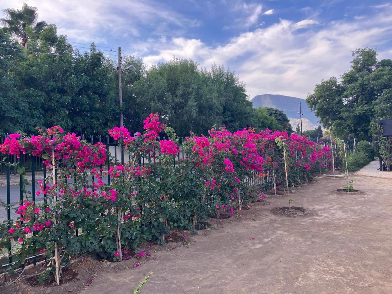 Die Dorpshuis กราฟฟ์-เรเน็ต ภายนอก รูปภาพ