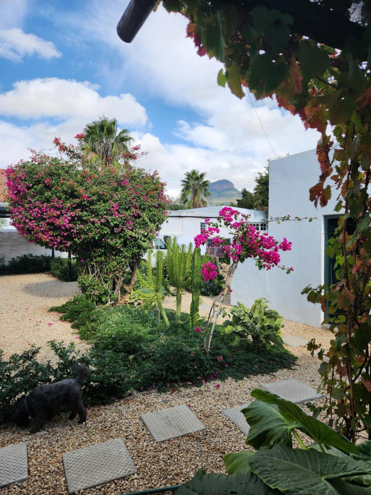 Die Dorpshuis กราฟฟ์-เรเน็ต ภายนอก รูปภาพ