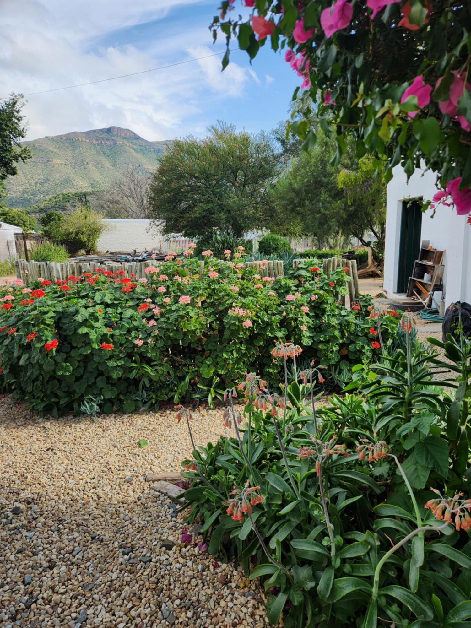 Die Dorpshuis กราฟฟ์-เรเน็ต ภายนอก รูปภาพ